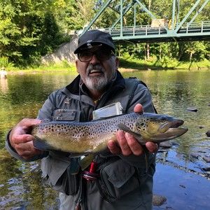 Meet your Posher, Robert